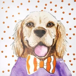 Karnet KW Pies pomarańcz - Henry