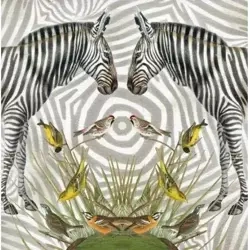 Karnet kwadrat z kopertą Zebra - Museums & Galleries