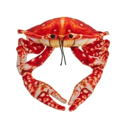 Krab pomarańczowy 26cm - Beppe