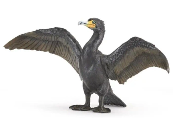 Kormoran - PAPO