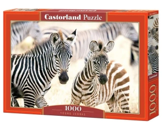 Puzzle 1000 Young Zebras CASTOR - Castorland
