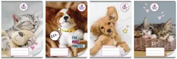Zeszyt A5/32K linia The Sweet Pets (10szt) - Beniamin