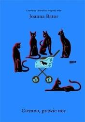 Ciemno, prawie noc wyd.4 - Joanna Bator