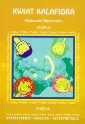 Streszczenia - Kwiat kalafiora LITERAT - Małgorzata Musierowicz