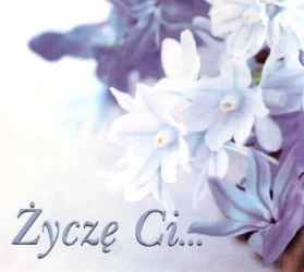 Perełka 188 - Życzę Ci... - praca zbiorowa