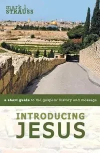 Introducing Jesus - Mark L. Strauss