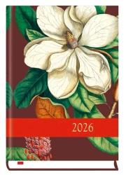 Terminarz 2026 B6 dzienny powszechny - Opracowanie zbiorowe