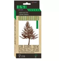 Ołówek sześciokątny HB-2H CedrLove (12szt) MIX - ST-MAJEWSKI