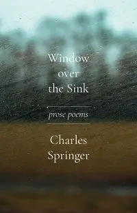 Window over the Sink - Charles Springer