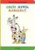 Gdzie jesteś, Karolku? - Susanne Rotraut Berner