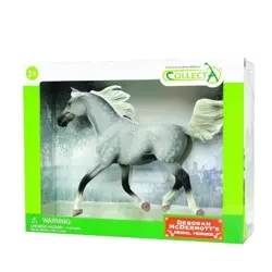 Półarabski ogier maści szaroczarnej - Collecta