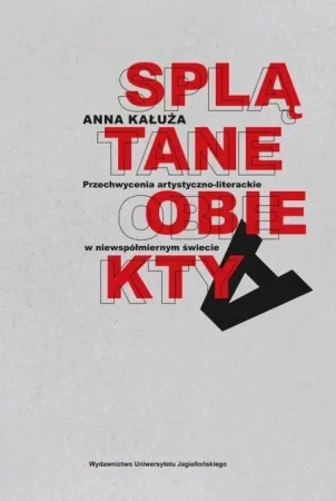 Splątane obiekty - Anna Kałuża