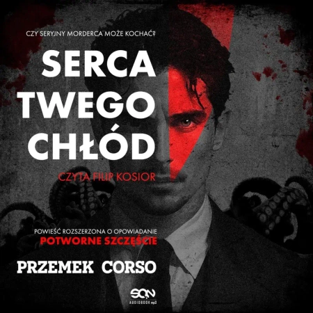 audiobook Serca twego chłód