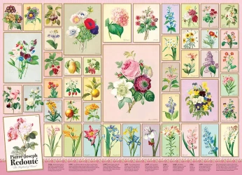 Cobble Hill Puzzle 1000 el. Pierre-Joseph Redoute