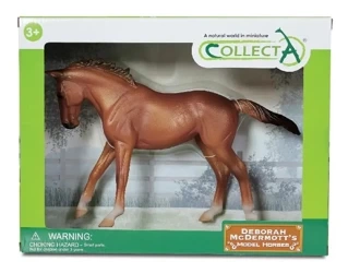 Klacz rady Thoroughbred maści Chestnut - Collecta
