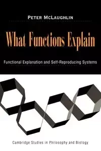 What Functions Explain - Peter McLaughlin