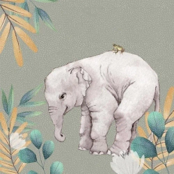 Karnet Swarovski kwadrat CL4703 Słoń - Clear Creations