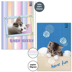Zeszyt A5/32K 3-linie kolor 90g BF Cats (10szt) - Bee-bee