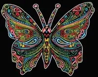 Kolorowanka Welwetowa Colorvelvet 47x35 cm Motyl + 12 flamastrów Carioca - Stepp Sp.z.o.o