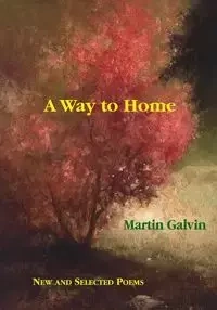 A Way to Home - Martin Galvin