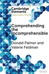 Comprehending the Incomprehensible - Palmer Donald
