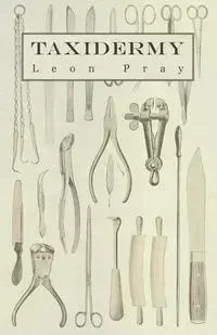Taxidermy - Leon Pray