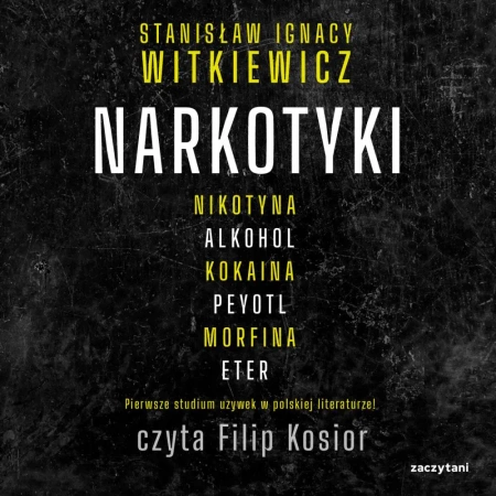 audiobook Narkotyki - Ignacy Stanisław Witkiewicz