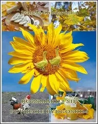 Rozsmakuj się w powiecie bydgoskim - Izabela Chudzyńska