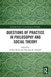 Questions of Practice in Philosophy and Social Theory - Buch Anders