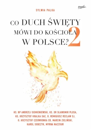 Co duch święty mówi do kościoła w Polsce Tom 2 - Sylwia Palka