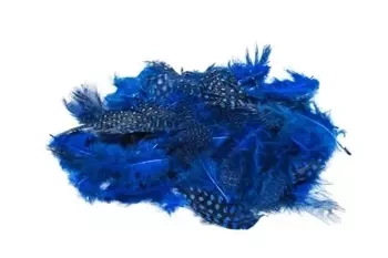 Piórka nakrapiane niebieskie 3g - Brewis