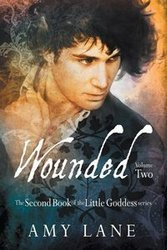 Wounded, Vol. 2 - Lane Amy