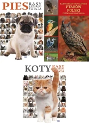 Pakiety: Koty / Pies. Rasy z całego świata / Ilustrowana encyklopedia - Michał Radziszewski, Mateusz Matysiak, Antoni Marczewski, Michał Maniakowski