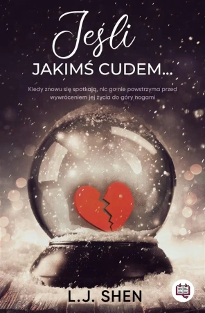 Jeśli jakimś cudem... - L. J. Shen
