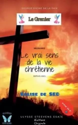 Le Grenier - Esaïe Ulysse Steevens