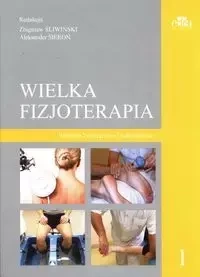 Wielka fizjoterapia. Tom 1 - Śliwiński Zbigniew, Sieroń Aleksander