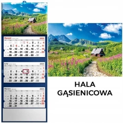 Kalendarz 2026 trójdzielny Hala gąsienicowa - Evena