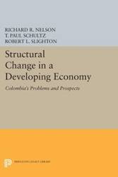 Structural Change in a Developing Economy - R. Nelson Richard