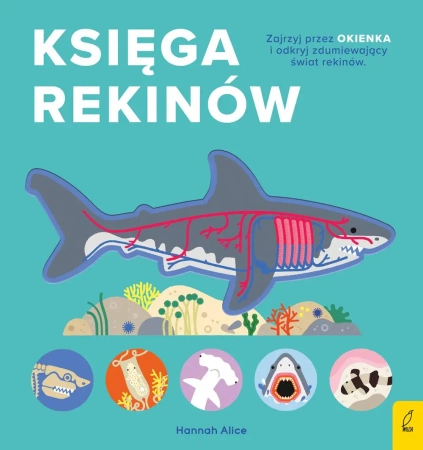 Księga rekinów. Encyklopedia z folią - Opracowanie zbiorowe