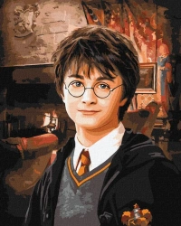 Malowanie po numerach -Harry Potter 40x50cm - Ideyka