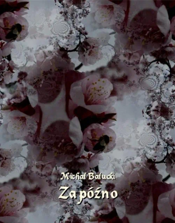 eBook Za późno. Nowela - Michał Bałucki epub mobi