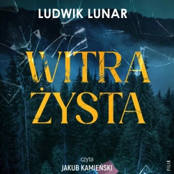 audiobook Witrażysta - Ludwik Lunar