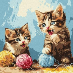 Malowania po numerach - Plątanina 30x30cm - Ideyka