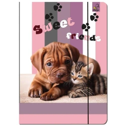 Paczka Teczka A4 z gumką Pies i Kot 5 sztuk - EV-Corp PAP