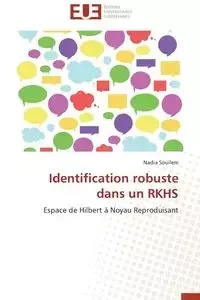 Identification robuste dans un rkhs - SOUILEM-N