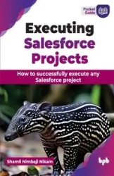 Executing Salesforce Projects - Nimbaji Nikam Shamli