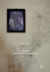 Notatki do odwróconych spojrzeń - Adam Górski