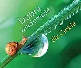 Perełka 288 - Dobra wiadomość dla Ciebie - praca zbiorowa