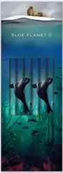 Ołówek ozdobny Sea Lion (6szt) - Museums & Galleries