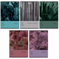 Zeszyt A5/80k kratka Botany Top Fol A 5